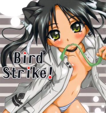 Office Sex Bird Strike!- Strike witches hentai Fuck Com